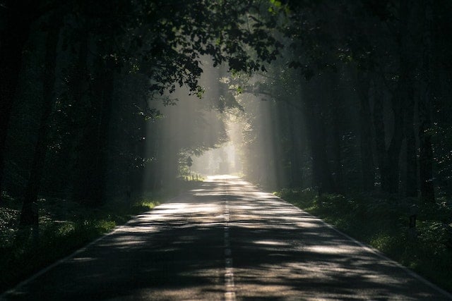 a road running through the woods, with streams of sunlight pouring down onto it through the trees