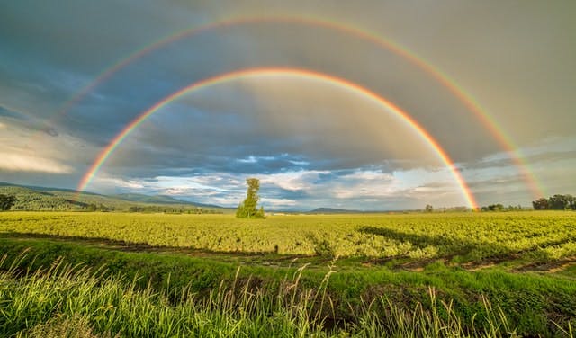 double rainbow over a sunny green field