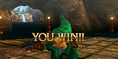 You win Zelda GIF