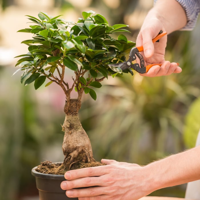 blog thumbnail: What is Backlog Grooming? Best Practices for Agile Projects