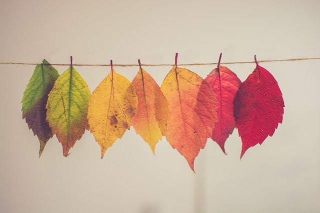 image2-blog-post-breaking-down-silos-product-teams
